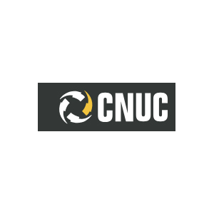 CN Utility Consulting
