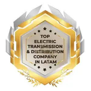 Top Electric Transmission & Distribution Company in LATAM